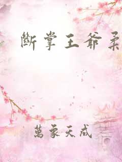 断掌王爷柔水妃