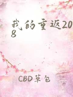 我的重返2008