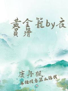 黄金笼by夜很贫瘠