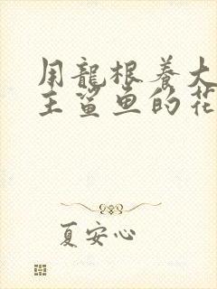 用龙根养大的公主鲨鱼的花