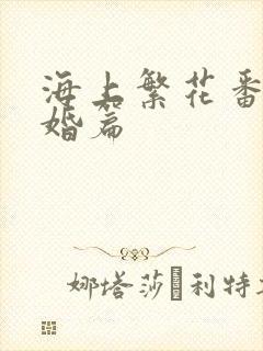 海上繁花番外结婚篇