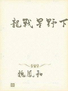 龙战星野下载