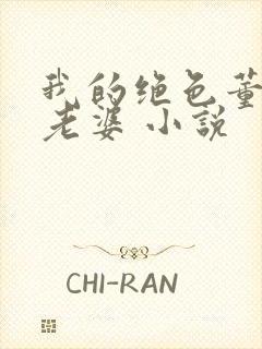 我的绝色董事长老婆 小说