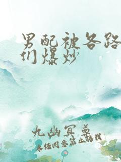 男配被各路大佬们爆炒