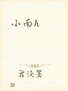 小南h