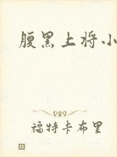 腹黑上将小小妻