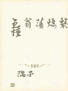 色翁荡熄系列借种