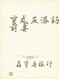 穿成反派的炮灰前妻