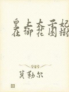 皇上太子妃沈音在御花园树上