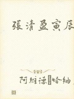 张清盈寅辰小说