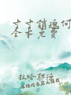 寸寸销魂何生祥全本免费