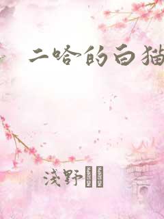 二哈的白猫师尊