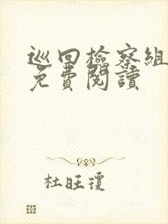 巡回检察组小说免费阅读