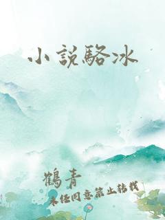 小说骆冰
