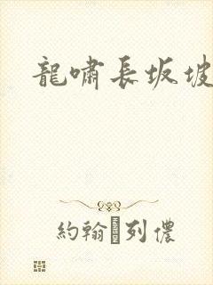 龙啸长坂坡