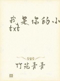 我是你的小小狗txt
