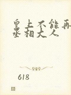 皇上不能再进了丞相大人