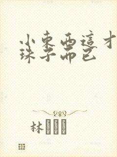 小东西这才一颗珠子而已