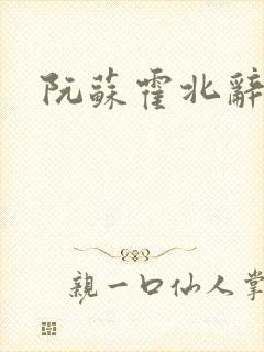 阮苏霍北辞小说