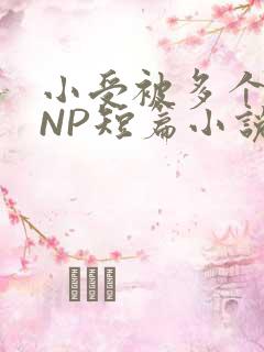 小受被多个攻强NP短篇小说