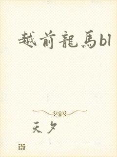 越前龙马bl