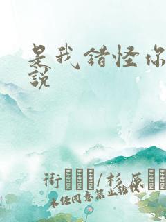 是我错怪你了小说