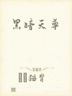 黑暗天尊