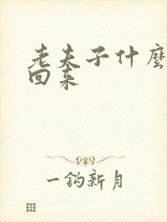 老夫子什么时候回来