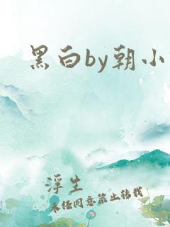 黑白by朝小诚
