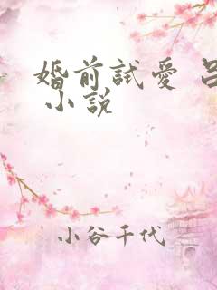 婚前试爱 吕颜 小说