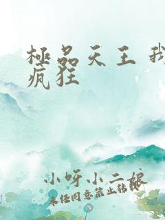 极品天王 我本疯狂