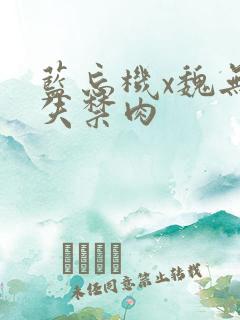 蓝忘机x魏无羡失禁肉