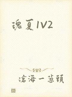瑰夏1V2