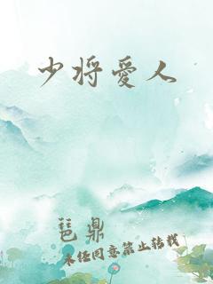 少将爱人