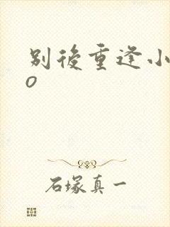 别后重逢小说po