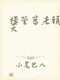 楼管葛老头的春天