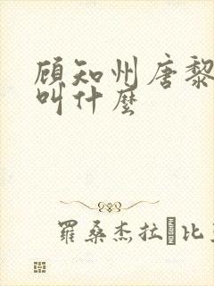 顾知州唐黎书名叫什么