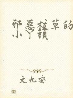 邪恶校草的拽拽小丫头