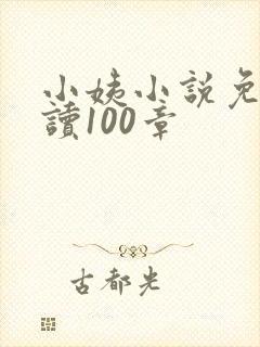 小姨小说免费阅读100章