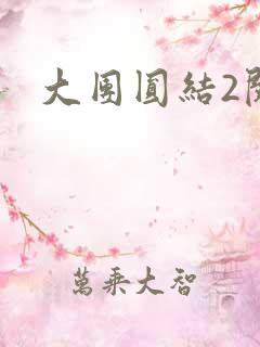 大团圆结2阅读