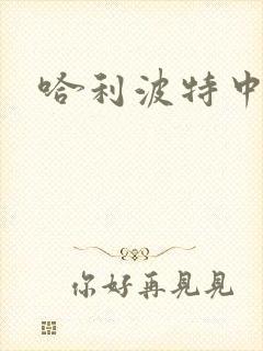 哈利波特中文版