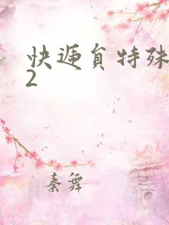 快递员特殊待遇2