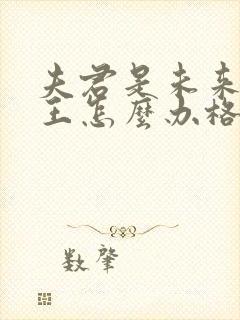 夫君是未来大魔王怎么办格格党