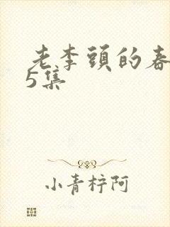 老李头的春天75集