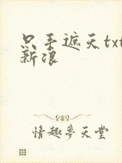 只手遮天txt新浪