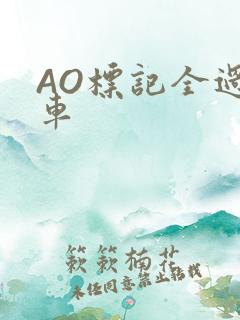 AO标记全过程车