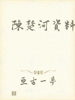 陈楚河资料