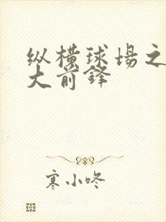 纵横球场之暴力大前锋