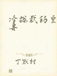 冷总裁的皇后暖妻