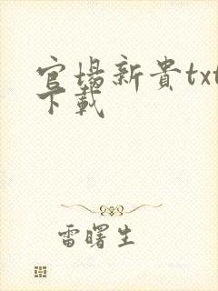 官场新贵txt下载